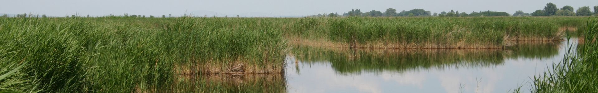 xr:d:DAF8DFVbwvA:17,j:8047230946946105369,t:24040909